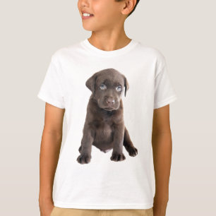 Camiseta Cachorro de Chocolate Lab