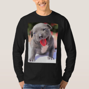 Camiseta Cachorro de cigalas