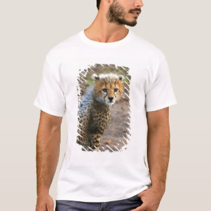 Camiseta Cachorro de Guepardo Acinonyx Jubatus)