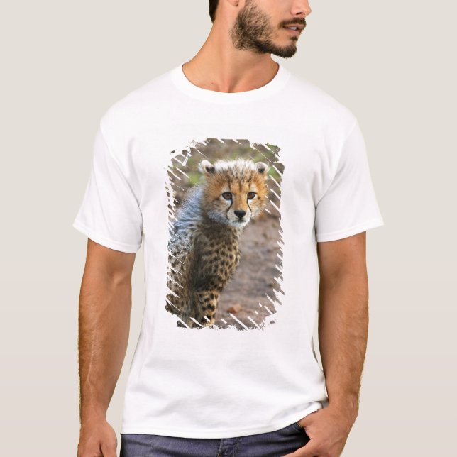 Camiseta Cachorro de Guepardo Acinonyx Jubatus) (Anverso)