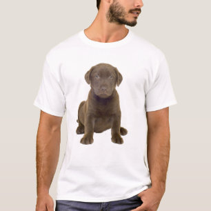 Camiseta Cachorro de Labrador Chocolate