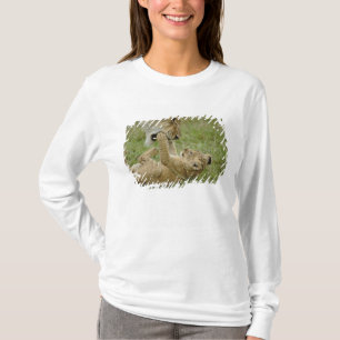 Camiseta Cachorro de León Jugando