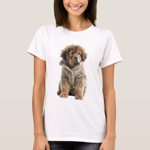 Camiseta Cachorro de Mastín Tibetano Marrón Esponjoso en un