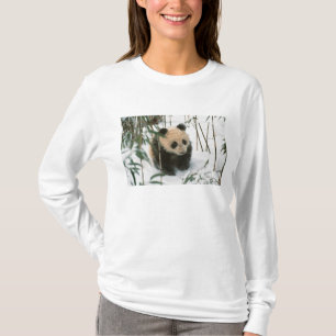 Camiseta Cachorro de panda en la nieve, Wolong, Sichuan, Ch