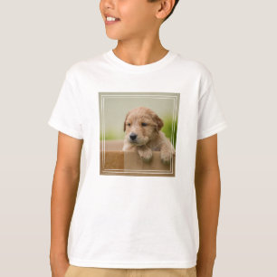 Camiseta Cachorro de recuperación de oro en caja