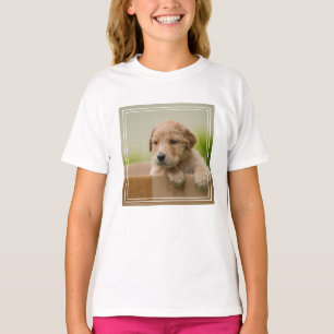 Camiseta Cachorro de recuperación de oro en caja