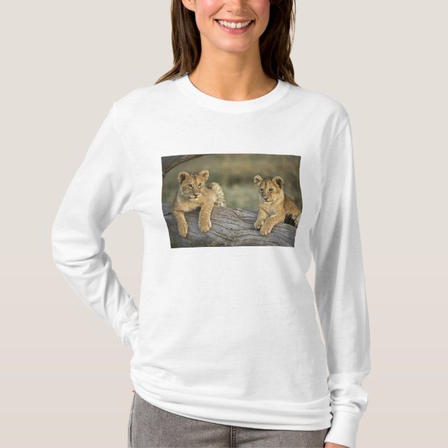 Camiseta Cachorros de León en Tronco (Anverso)