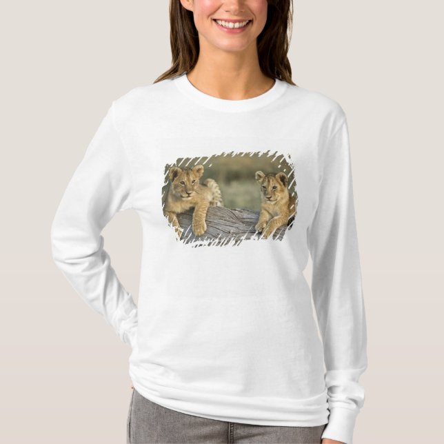 Camiseta Cachorros de León en Tronco (Anverso)