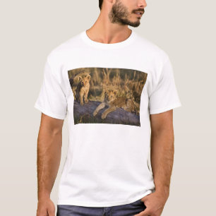 Camiseta Cachorros de León en Tronco