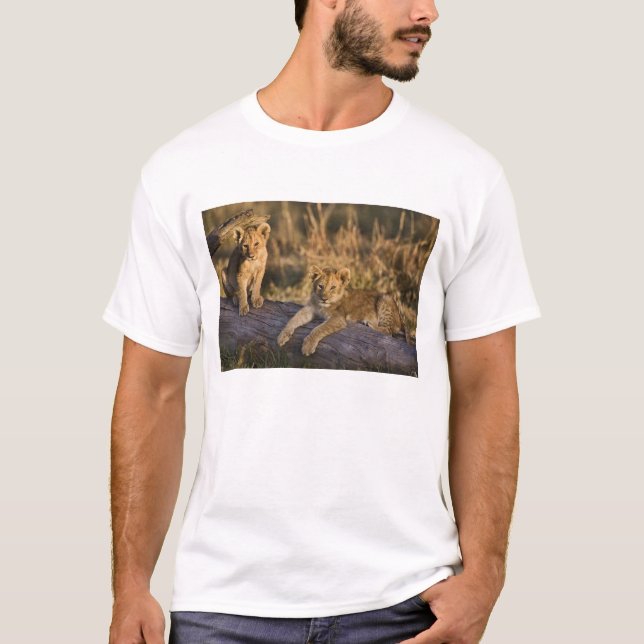 Camiseta Cachorros de León en Tronco (Anverso)