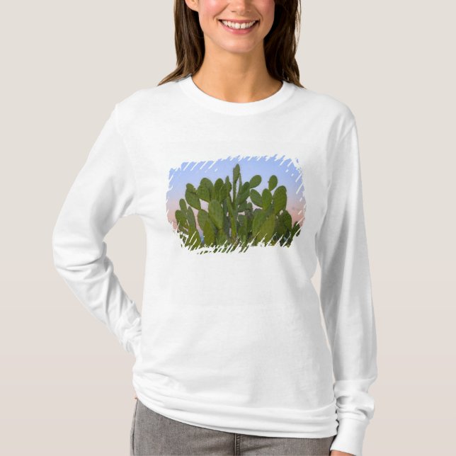 Camiseta Cacti y sisal en el bosque seco (Anverso)