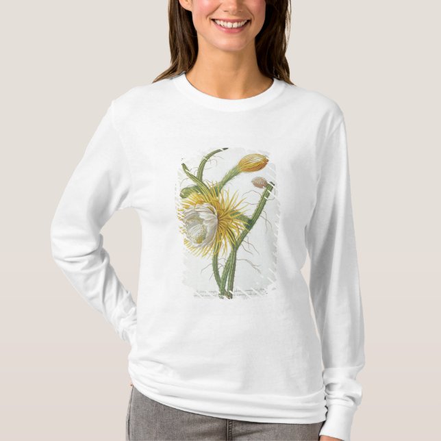 Camiseta Cactus: Cirio, Plantae Selectae" 175 de Trew de " (Anverso)