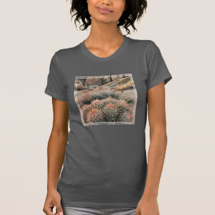 Camiseta Cactus de Barril en California