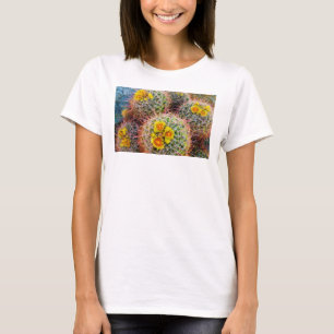 Camiseta Cactus de barril en primer plano, California