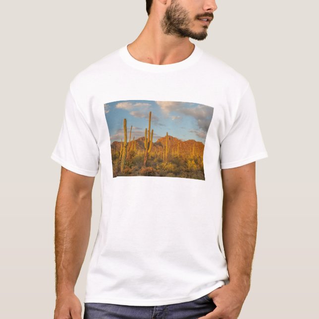 Camiseta Cactus de Saguaro al atardecer, Arizona (Anverso)