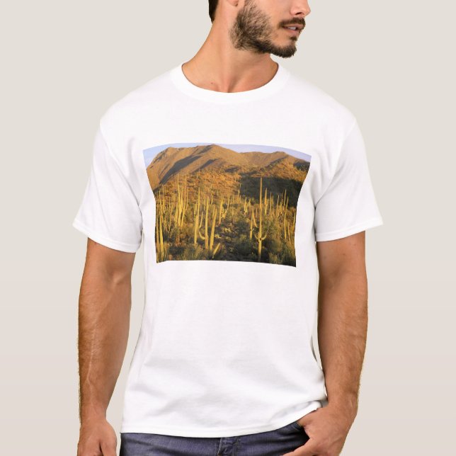 Camiseta Cactus de Saguaro en el Parque Nacional de Saguaro (Anverso)