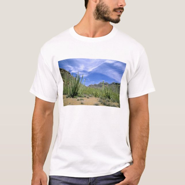 Camiseta Cactus del desierto en el Monumento Nacional de la (Anverso)