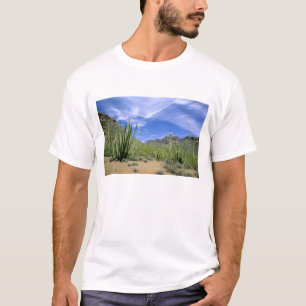 Camiseta Cactus del desierto en el Monumento Nacional Organ