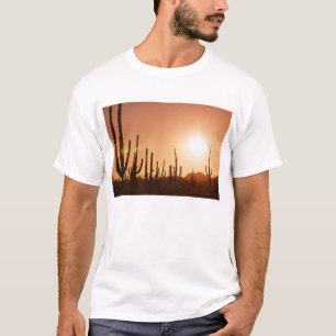 Camiseta Cactus en desierto