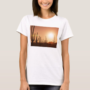 Camiseta Cactus en desierto