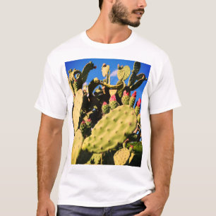 Camiseta Cactus Saguaro, Plantas Cactus