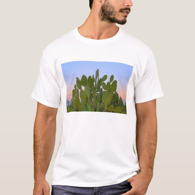Camiseta Cactus y sisal en Bosque Seco (Anverso)