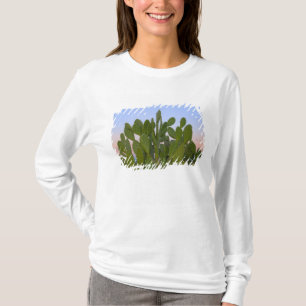 Camiseta Cactus y sisal en Bosque Seco