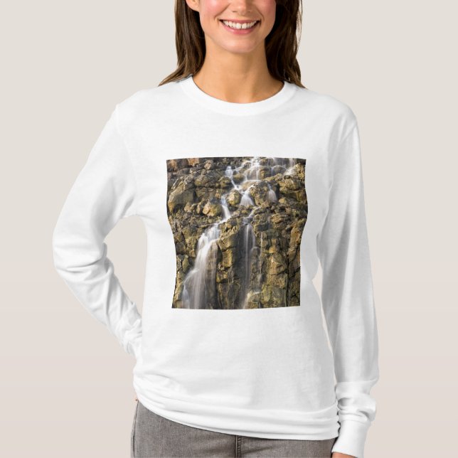 Camiseta Cae el cerebro de una caída de roca volcánica (Anverso)