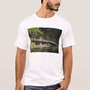 Camiseta Caimán americano descansando a lo largo de un hume