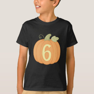 Camiseta Calabaza Cute Fall 6º cumpleaños   Halloween Party