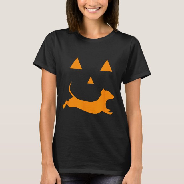Camiseta Calabaza de Halloween Dachshund vestido de lintern (Anverso)