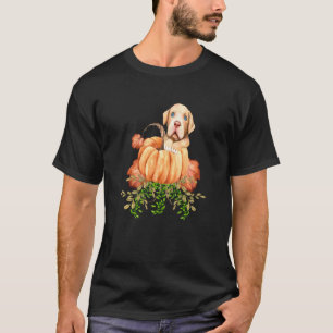 Camiseta Calabazas De Caída Cuidan Ropa De Pitbull Otoño Pa