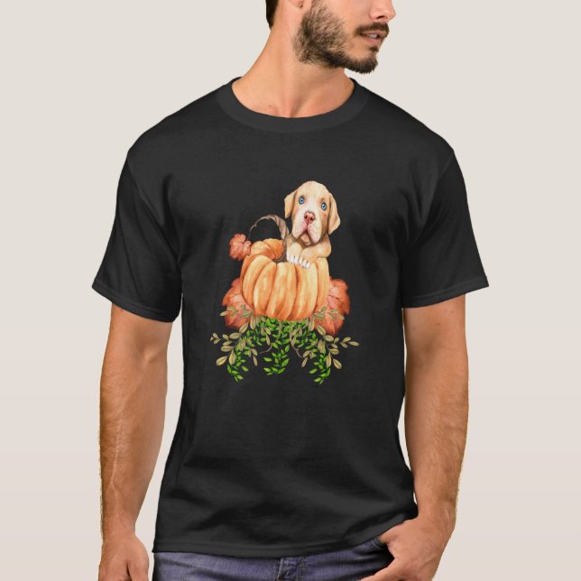 Camiseta Calabazas De Caída Cuidan Ropa De Pitbull Otoño Pa (Anverso)