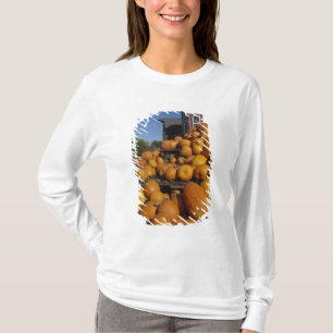 Camiseta Calabazas en granja en otoño cerca de Concord,