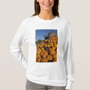 Camiseta Calabazas en granja en otoño cerca de Concord,