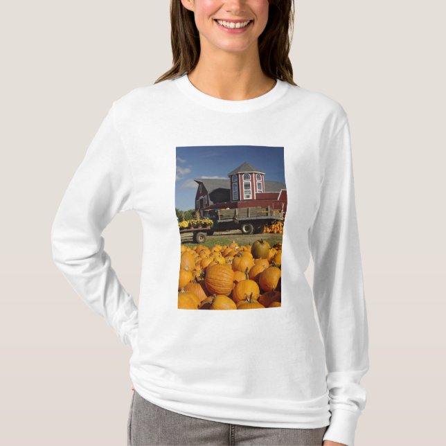 Camiseta Calabazas en granja en otoño cerca de la (Anverso)