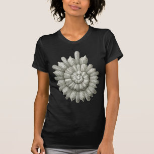 Camiseta Calcarina clavigera Ernst Haeckel Bella Artes