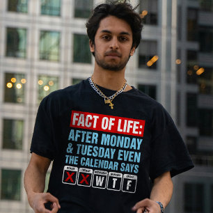 Camiseta Calendario de Hechos de la Vida Dice Humor WTF