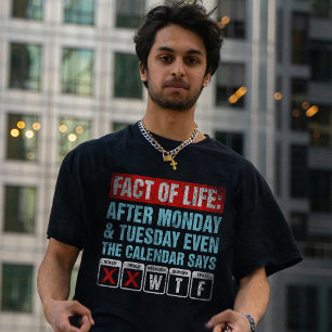 Camiseta Calendario de Hechos de la Vida Dice Humor WTF