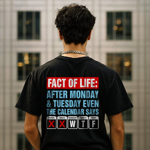 Camiseta Calendario de Hechos de la Vida Dice Humor WTF