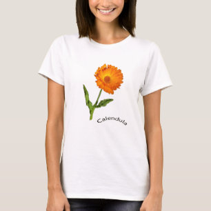 Camiseta - calendula