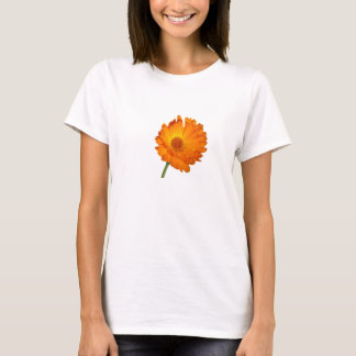 Camiseta - Caléndula en tallo corto