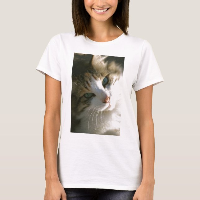 Camiseta Calico Tiger Cat (Anverso)
