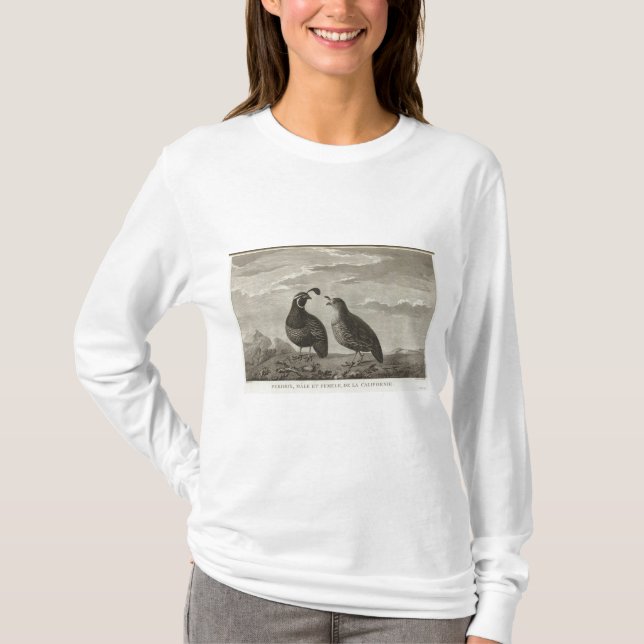 Camiseta California (Anverso)