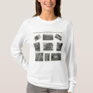 Camiseta California 4