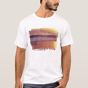 Camiseta California, cerca de Santa Cruz, vista de la playa