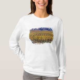 Camiseta California, Condado de San Luis Obispo, Valle de E