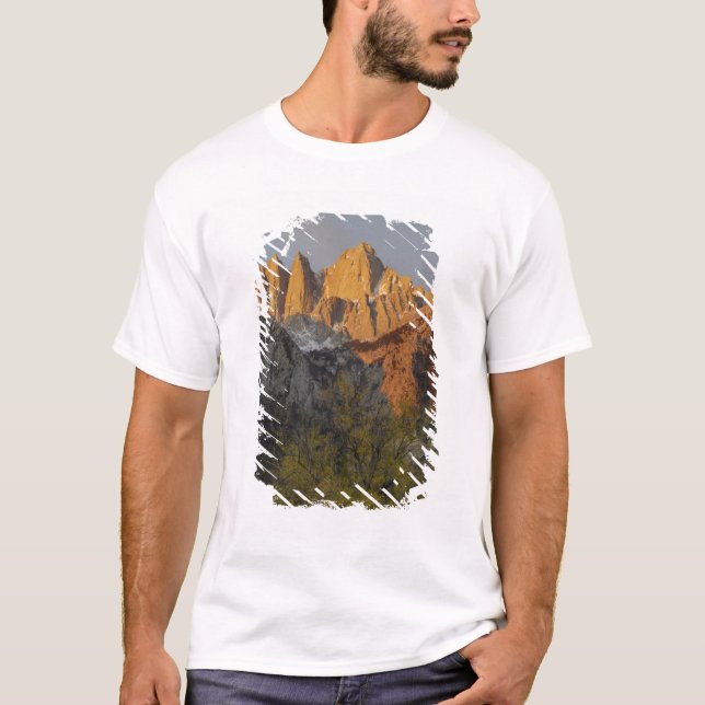 Camiseta California, Monte Whitney, Bosque Nacional Inyo 3 (Anverso)