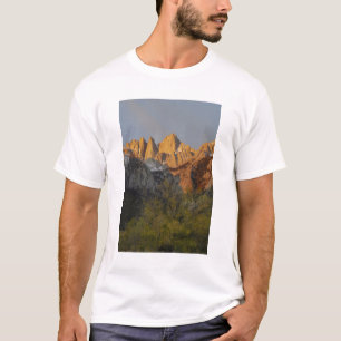 Camiseta California, Monte Whitney, Bosque Nacional Inyo 3