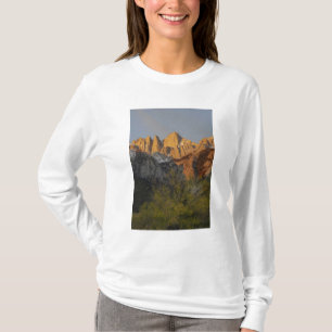 Camiseta California, Monte Whitney, Bosque Nacional Inyo 3